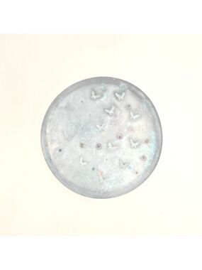 Iridescent Butterfly Resin Trinket Dish